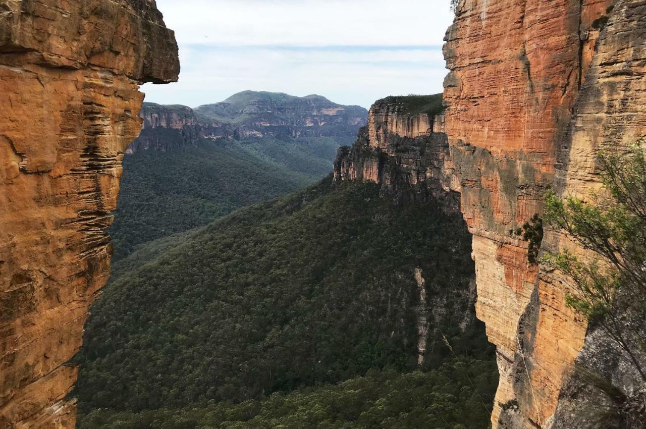 Ribbon Gum Lodge Katoomba Exterior photo